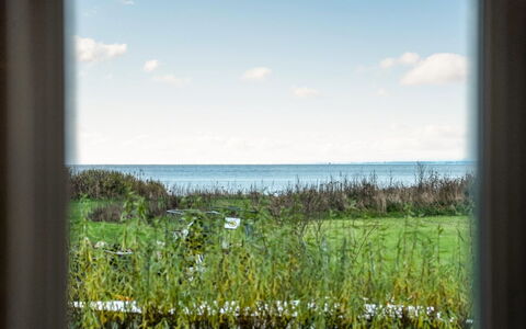Joran - 120M from the Sea: Vert, Paysage Naturel, Écorégion, Plaine, Mer, Matin, Prairie, Lumière Du Soleil, Océan, Prairie