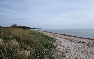 Joran - 120M from the Sea