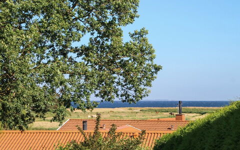 Roel - 500M from the Sea: Bleu, Vert, Feuille, Plaine, Lot Terre, Zone Rurale, Matin, Lumière Du Soleil, Suppression Des Plantes Ligneuses, Ombre