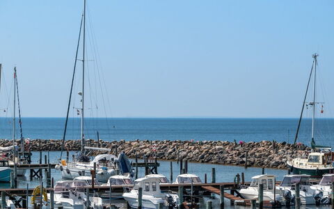 Irma - 25M from the Sea: Toit, Maison, Domicile, Chalet, Siding, Biens, Allée, Batiments Jardin, Cour, Cabanon