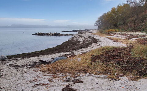 Majbritt - 50M from the Sea: L'Eau, Plan D'Eau, Environnement Naturel, Côte, Cotiers Et Relief Océaniques, Rive, Roche, Mer, Banque, Plage