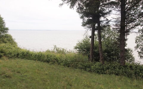 Pirjo - 50M from the Sea: Toit, Maison, Lot Terre, Domicile, Chalet, Biens, Batiments Jardin, Ombre, Cabane En Rondins, Aménagement Paysager