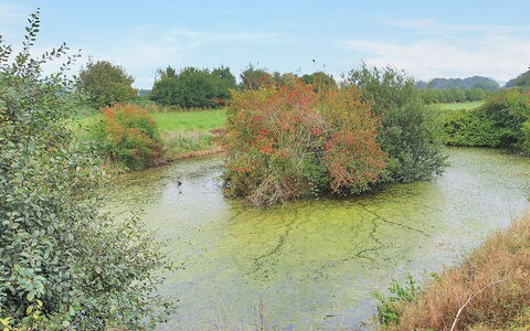 Iorund - 550M from the Sea: Maison, Domicile, Toit, Chalet, Biens, Aménagement Paysager, Batiments Jardin, Siding, Ferme