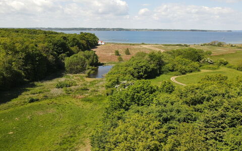 Rosa - 300M from the Sea: Vert, Paysage Naturel, Végétation, Prairie, Écorégion, Paysage, Communauté Des Plantes, Plaine, Vue Du Ciel, Photographie Aérienne
