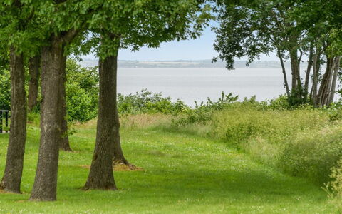 Ditte - 300M from the Sea: Vert, Herbe, Environnement Naturel, Feuille, Paysage Naturel, Végétation, Prairie, Lot Terre, Plaine, Tronc