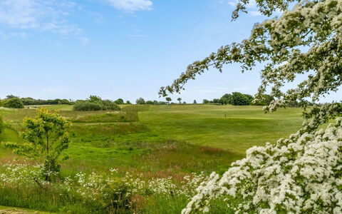 Ditte - 300M from the Sea: Ciel, Vert, Arbre, Environnement Naturel, Végétation, Paysage Naturel, Prairie, Arbuste, Été