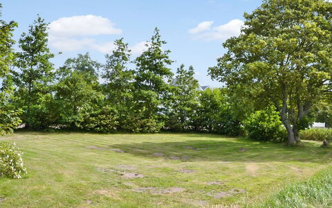 Juuso - 20Km from the Sea: Vert, Arbre, Feuille, Branche, Végétation, Arbuste, Prairie, Communauté Des Plantes, Plaine