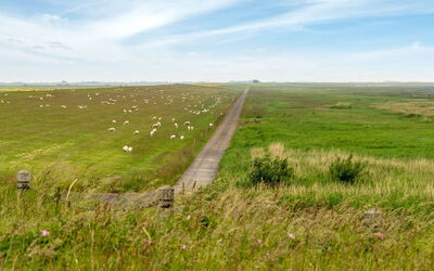 Annagrete - 12Km from the Sea