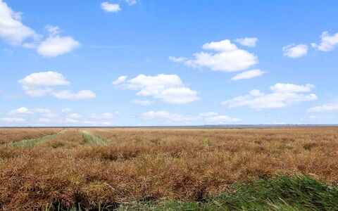 Skarpe: Herbe, Prairie, Paysage, Écorégion, Plaine, Communauté Des Plantes, Lot Terre, Mobilier De Jardin, Prairie, Formations Arbustives