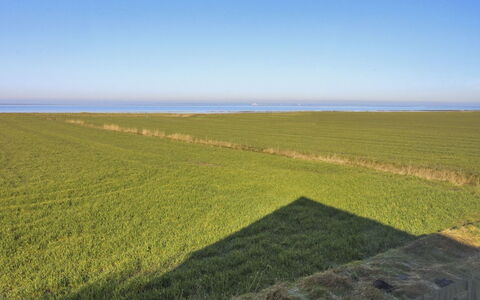 Skarpe: Herbe, Prairie, Paysage, Écorégion, Plaine, Communauté Des Plantes, Lot Terre, Mobilier De Jardin, Prairie, Formations Arbustives