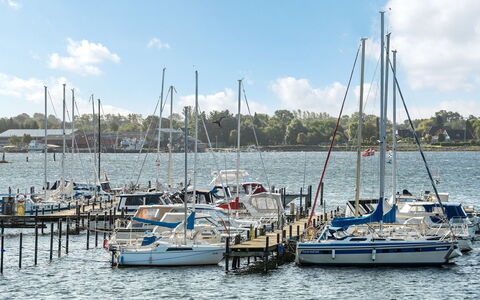 Joar - 5M to the Fjord: Bateau, Bleu, L'Eau, Plan D'Eau, Navire, Marina, Bateaux Et Nautique - Materiel Et Fournitures, Voie Navigable, Quai, Port