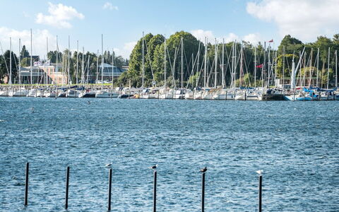 Joar - 5M to the Fjord: Bleu, L'Eau, Voie Navigable, Bateau, Marina, Navire, Mât, Canal, Lac, Port