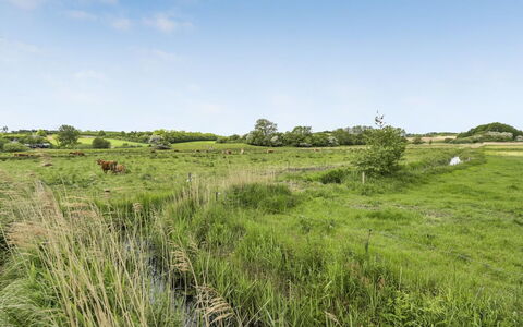 Sigbritt - 100M from the Sea: Ciel, Herbe, Prairie, Environnement Naturel, Vert, Écorégion, Végétation, Paysage Naturel, Nuage, Plaine