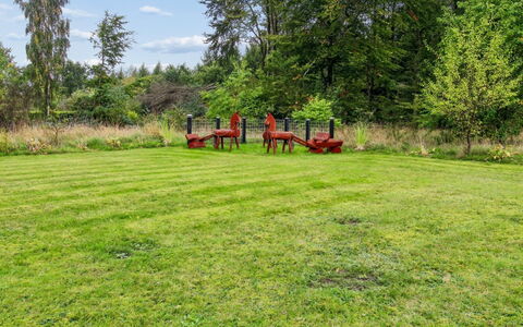 Arvi - 30Km from the Sea: Arbre, Herbe, Prairie, Arbuste, Jardin, Lot Terre, Plaine, Pelouse, Prairie