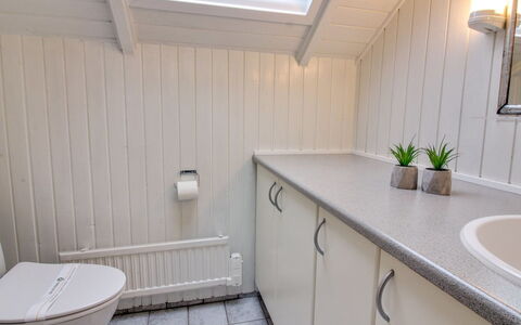Sebiorn - 300M to the Fjord: Luminaire Plomberie, Sol, Évier, Salle De Bains, Sol, Robinet, Design Intérieur, Plomberie, Lavabo, Armoire De Toilette
