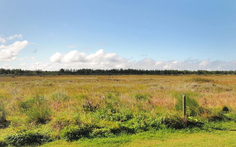 Neven - 900M from the Sea: Bois, Tache De Bois, Planche, Dur, Chalet, Plate-Forme, Siding, Ombre, Parquet, Batiments Jardin