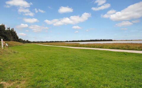 Sophia - 8Km from the Sea: Ciel, Bleu, Vert, Herbe, Environnement Naturel, Prairie, Nuage, Paysage Naturel, Plaine, Écorégion