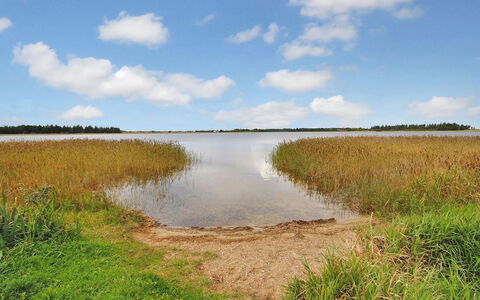 Sophia - 8Km from the Sea: 