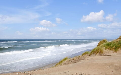 Margrethe - 1.1Km from the Sea: Bois, Toit, Maison, Chalet, Porte, Domicile, Siding, Lot Terre, Batiments Jardin, Cabanon