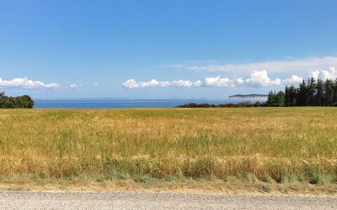 Kaleva - 200M to the Fjord: Bleu, Herbe, Nuage, Horizon, Prairie, Paysage Naturel, Plaine, Écorégion, Champ, Prairie