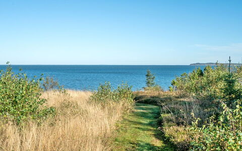 Thrine - 100M to the Fjord: 