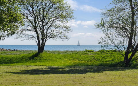 Elba - 100M from the Sea: Piscine, Mobilier De Jardin, Meubles, Recours, Dalle, Eco Hôtel, Ombre, Chaise, Loisir, Biens