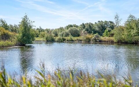 Milo - 5M from the Sea: Ciel, Bleu, L'Eau, Ressources En Eau, Plan D'Eau, La Nature, Environnement Naturel, Vert, Paysage Naturel, Végétation