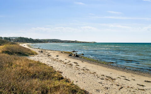 Dzavid - 10M from the Sea: Domicile, Toit, Maison, Porte, Chalet, Ombre, Jardin, Couverture De Sol, Porche, Cour