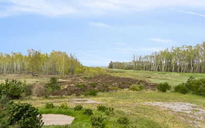 Farah - 275M from the Sea