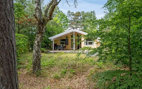 Ros - 350M from the Sea: Arbre, Herbe, Branche, Bois, Maison, Chalet, Domicile, Toit, Zone Rurale, Arbuste