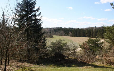 Piia - 800M from the Sea: Feuille, Arbre, Environnement Naturel, Végétation, Paysage Naturel, Arbuste, Région Sauvage, Prairie, Communauté Des Plantes