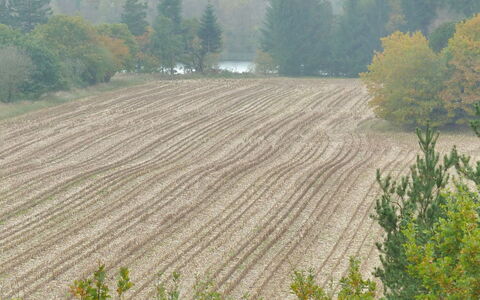 Piia - 800M from the Sea: Arbre, Champ, Plantation, Plaine, Agriculture, Lot Terre, Sol, Ferme, Surgir