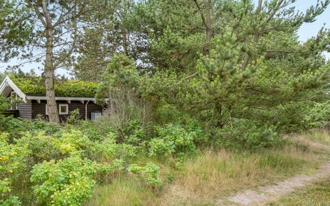 Alfi - 150M from the Sea: Bois, Toit, Maison, Chalet, Porte, Domicile, Siding, Lot Terre, Batiments Jardin, Cabanon