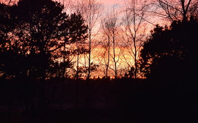 Østmar - 1.2Km from the Sea