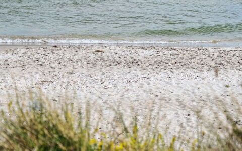 Jerrit - 225M from the Sea: Chalet, Cabanon, Cabane, Ferme, Prairie, Cabane, Grange, Cabane En Rondins, Batiments Jardin