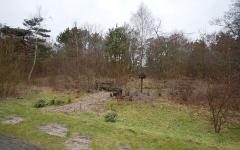 Runhild - 100M from the Sea: Arbuste, Lot Terre, Sol, Piste, Des Bois, Chemin