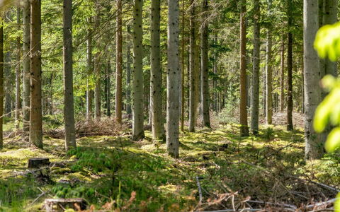 Sighwith - 500M from the Sea: Bois, Toit, Maison, Chalet, Porte, Domicile, Siding, Lot Terre, Batiments Jardin, Cabanon
