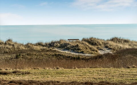 Jyrki - 100M from the Sea: Herbe, Écorégion, Horizon, Prairie, Mer, Communauté Des Plantes, Cotiers Et Relief Océaniques, Plaine, Côte, Steppe