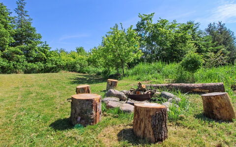 Fredegæst - 700M from the Sea: Bois, Prairie, Tronc, Couverture De Sol, Prairie, Suppression Des Plantes Ligneuses, Pâturage, Extérieur Banc