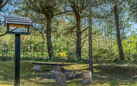Hellevi - from the Sea: Arbre, Feuille, La Nature, Environnement Naturel, Herbe, Branche, Bois, Paysage Naturel, Communauté Des Plantes, Lot Terre