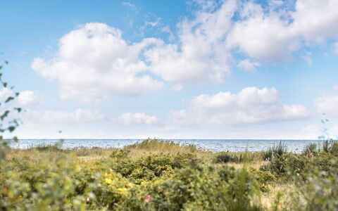 Mumme - 100M from the Sea: Ciel, Bleu, Nuage, Jour, Environnement Naturel, Horizon, Végétation, Écorégion, Été, Cumulus
