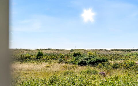 Mumme - 100M from the Sea: Ciel, Bleu, Jour, Vert, Herbe, Environnement Naturel, Prairie, Végétation, Écorégion, Paysage Naturel