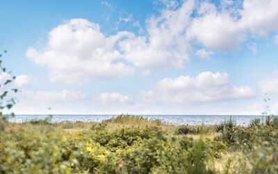Mumme - 100M from the Sea