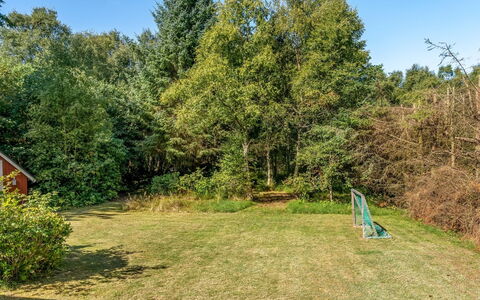 Ane - 1.7Km from the Sea: Herbe, Prairie, Paysage, Écorégion, Plaine, Communauté Des Plantes, Lot Terre, Mobilier De Jardin, Prairie, Formations Arbustives