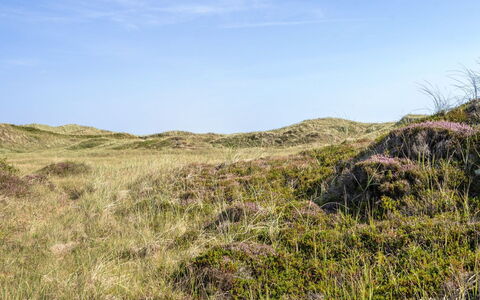 Marjon - 400M from the Sea: Toit, Domicile, Porte, Chalet, Ombre, Siding, Cour, Biens, Arrière-Cour