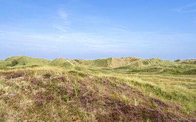 Marjon - 400M from the Sea