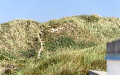 Marjon - 400M from the Sea