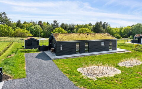 Dyke - 1.5Km from the Sea: Bois, Toit, Maison, Chalet, Porte, Domicile, Siding, Lot Terre, Batiments Jardin, Cabanon