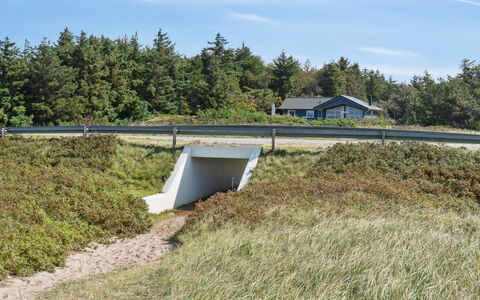 Awenita - 50M to the Fjord: Herbe, Prairie, Paysage, Écorégion, Plaine, Communauté Des Plantes, Lot Terre, Mobilier De Jardin, Prairie, Formations Arbustives