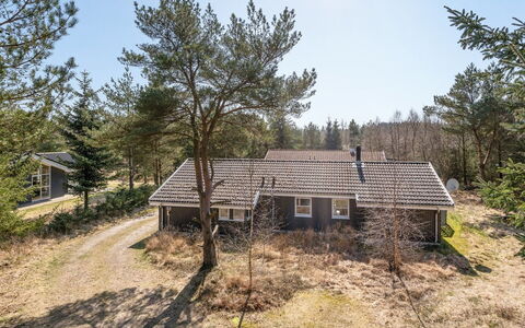 Sighbiorn - 950M from the Sea: Bleu, Arbuste, Chalet, Couverture De Sol, Jardin, Biens, Ombre, Aménagement Paysager, Ferme, Eco Hôtel